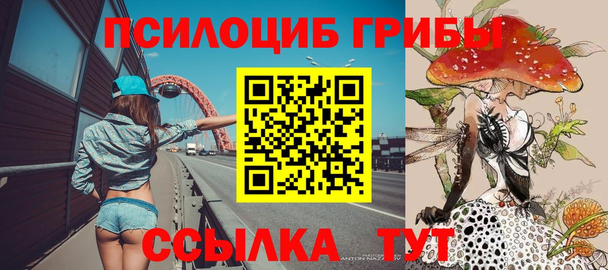 Псилоцибиновые грибы MAGIC MUSHROOMS Городец